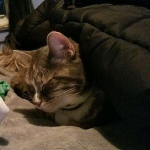 Meet your Posher, Shawna